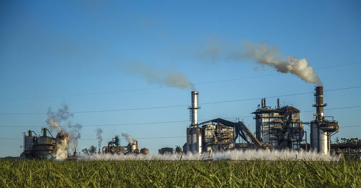 Biodegradable Industrial Specialty Lubricants