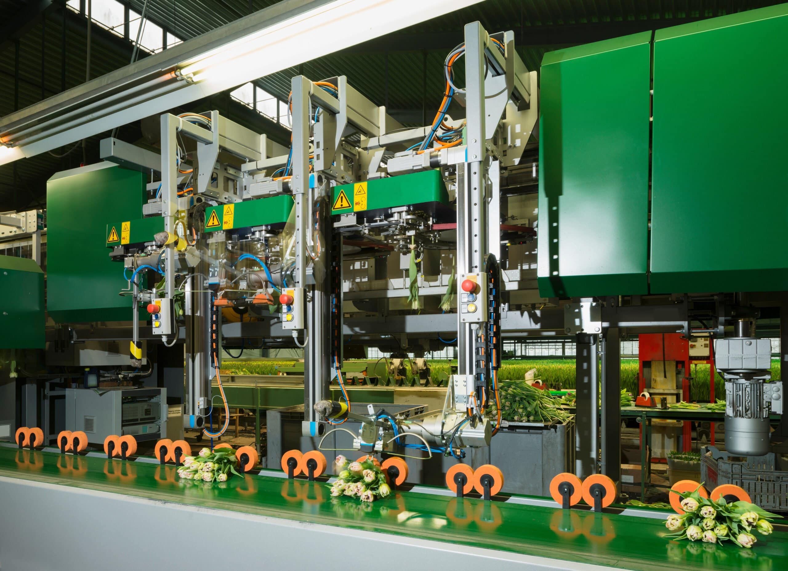Biodegradable Metalworking Fluids