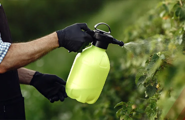 Agriculture Spray Oils 
